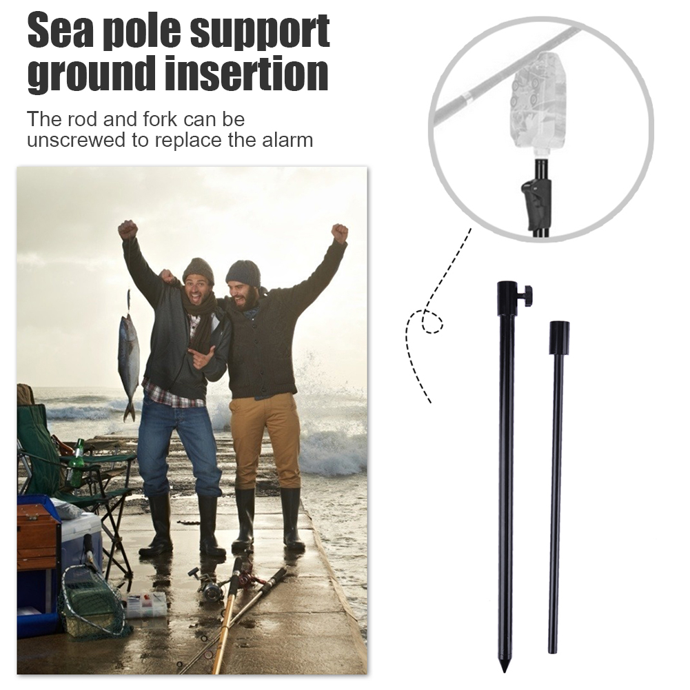 Oferta Especial: Soporte de Pe - Fishing Equipment Market reseña y precio