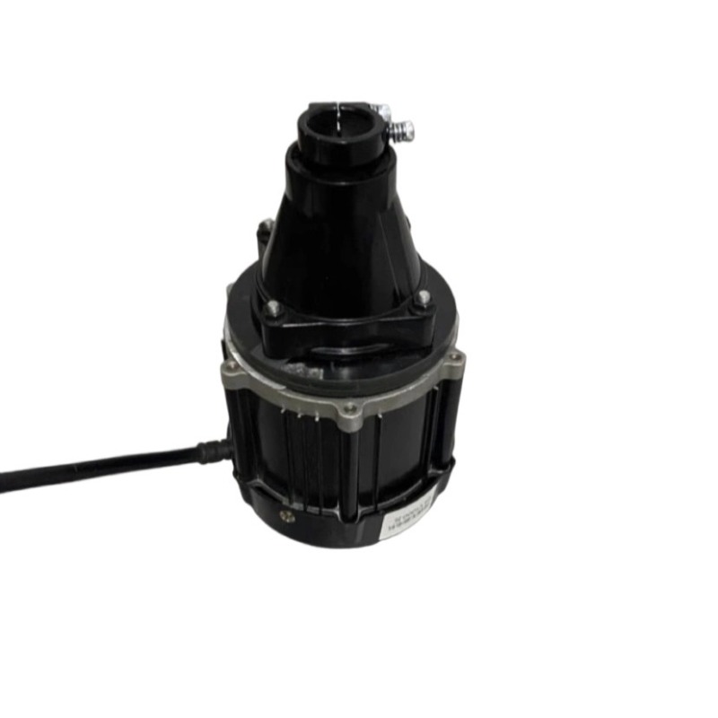Motor fueraborda sin escobilla - Fishing Gear reseña y precio